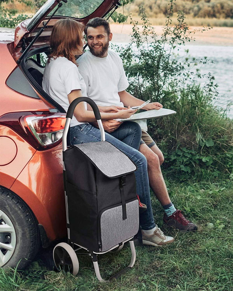 Einkaufstrolley mit großer Ladekapazität, Wärmedämmung Tasche AB05001 Schwarz - Inateck Official DE